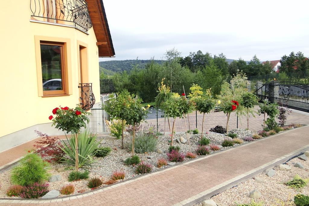 Zagornik Villa Inwałd Rum bild