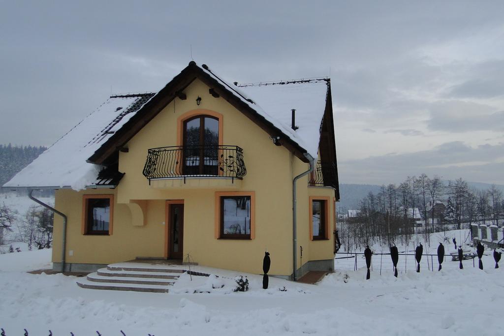 Zagornik Villa Inwałd Rum bild