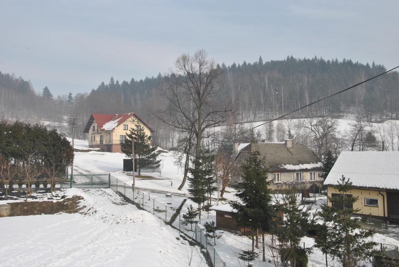 Zagornik Villa Inwałd Exteriör bild