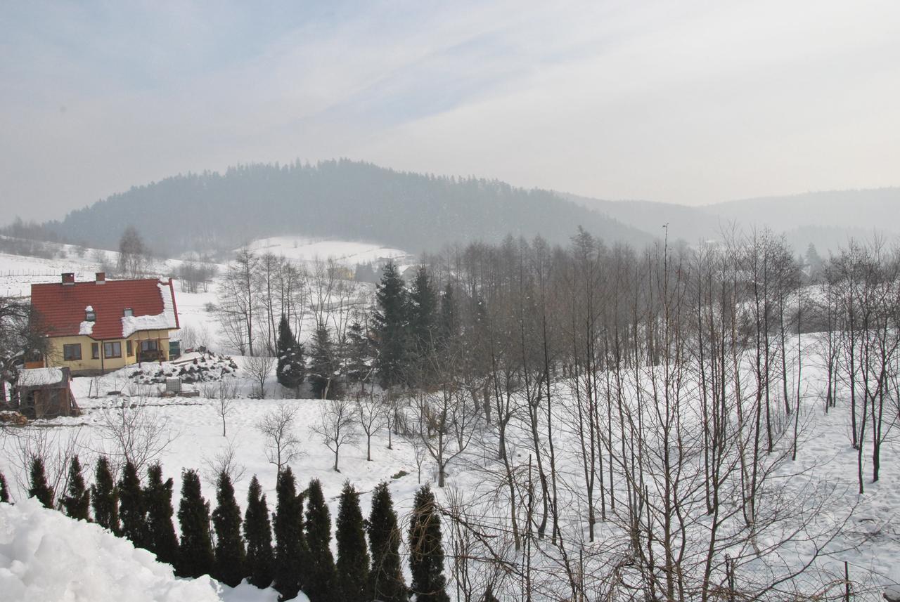 Zagornik Villa Inwałd Exteriör bild